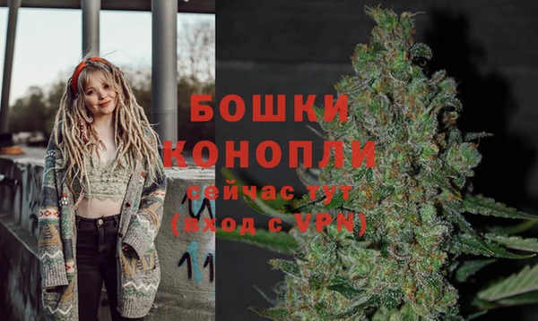 СК Богородск