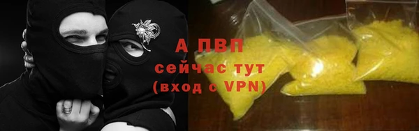 СК Богородск