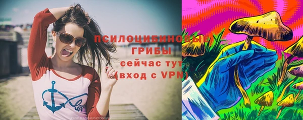 эйфоретик Богородицк